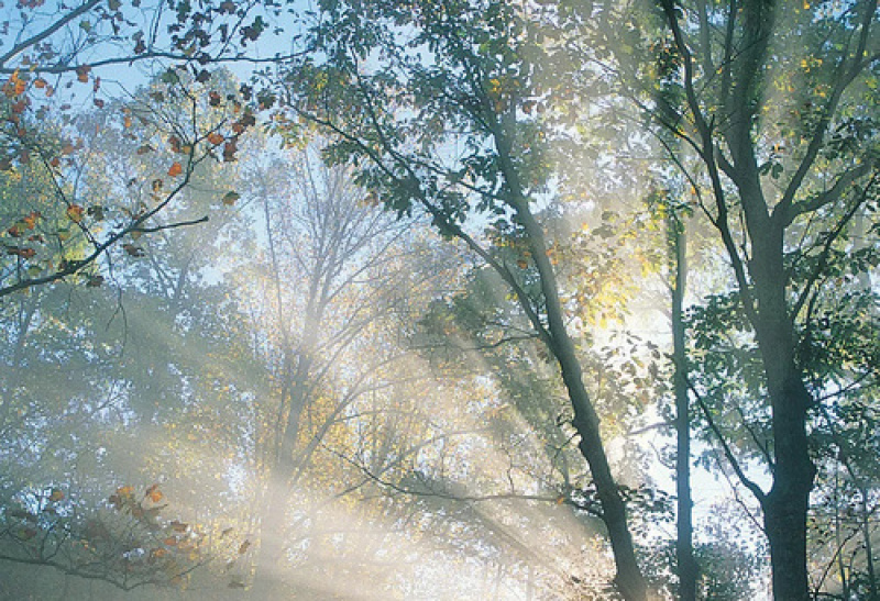 solar range, Redland roof tiles, roof tiles, harrow London watford wembley